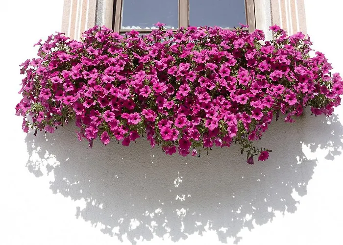 Hotel Gasthof Neuner 3*