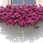 Hotel Neuner 3*